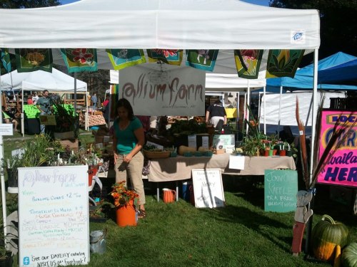 photo of jess, owner of Allium Farm, and her stand at the farmer's market